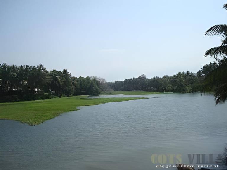 Cotsvilla Topslip — photo 4