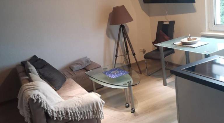 Beautiful rental apartment | Pets are welcome — photo 2