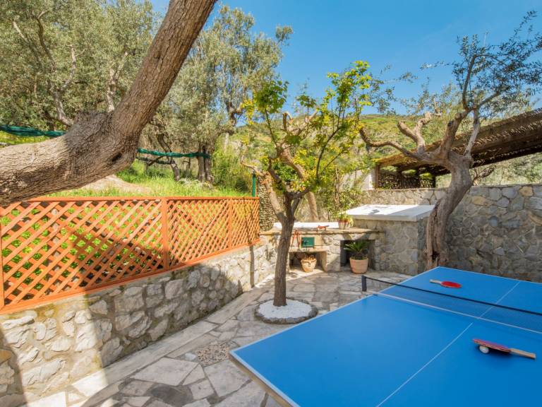 House with terrace, private pool & garden — photo 5
