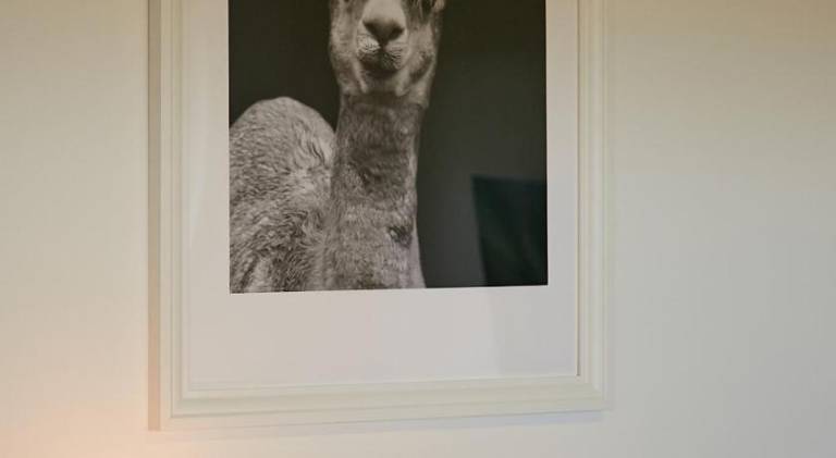 House | Pets allowed — photo 4
