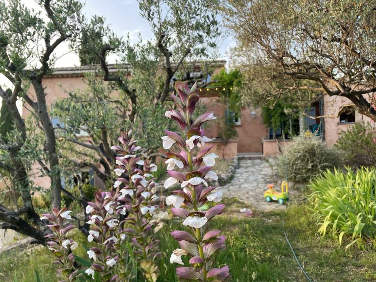 Maison de vacances Sablet