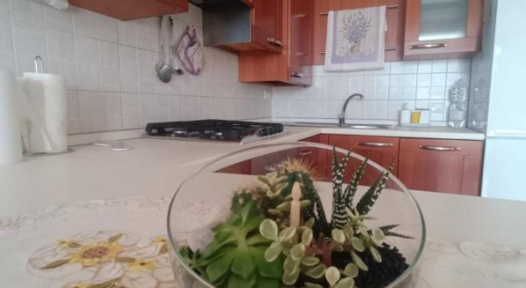 Rental apartment with terrace & garden — photo 5