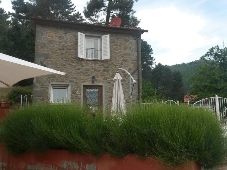 foto19