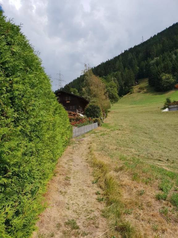 foto7