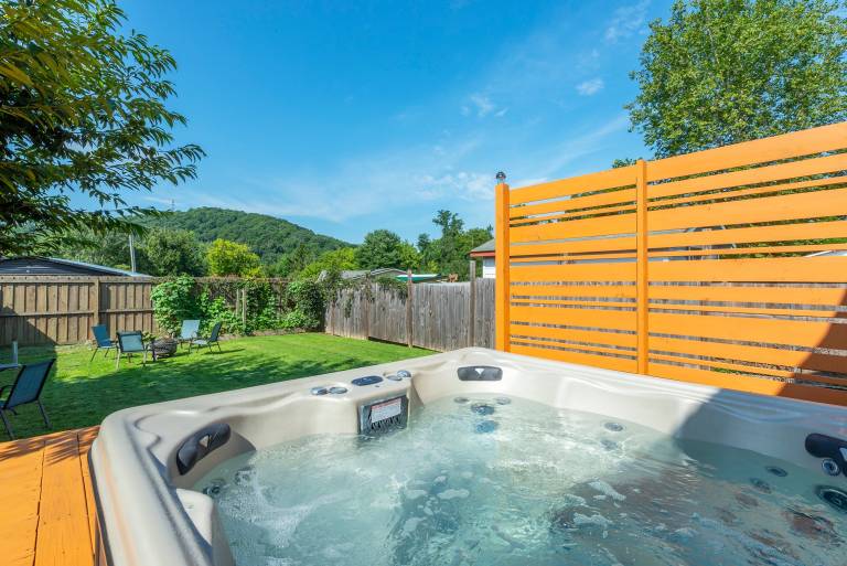 Bee Tree Bliss Pets Hot Tub & Mountain Views