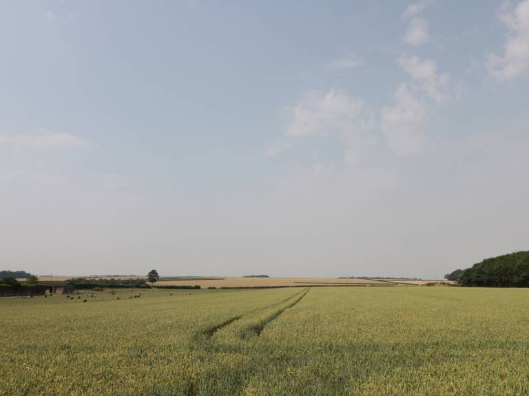 foto15
