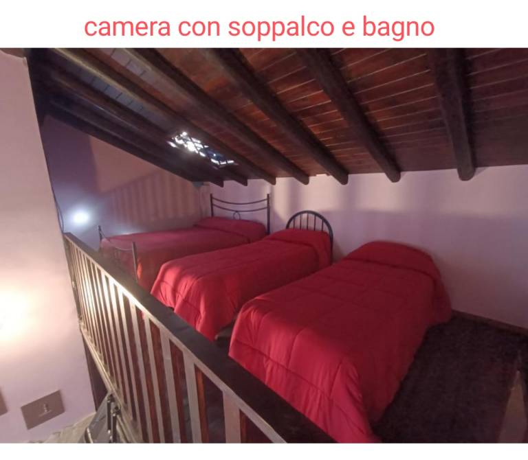 foto19