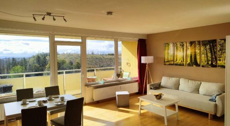 Lovely apartment with pool | Dogs allowed in Braunlage