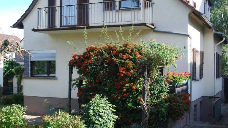 Ferienhaus  Michelstadt