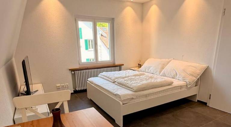 Ferienwohnung  Schaffhausen