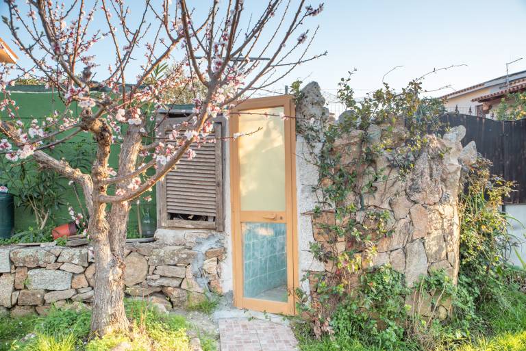 Centrally Located, Mediterranean Holiday Apartment with Garden and Terrace; Pets Allowed in San Teodoro