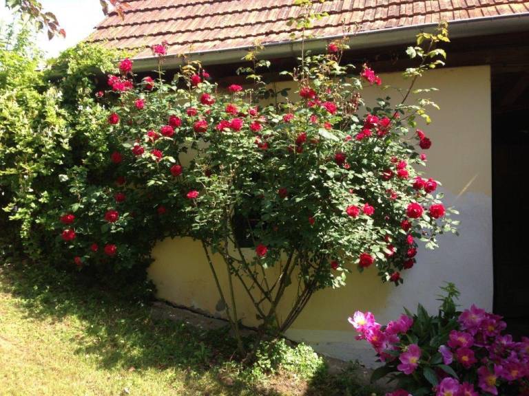 foto15