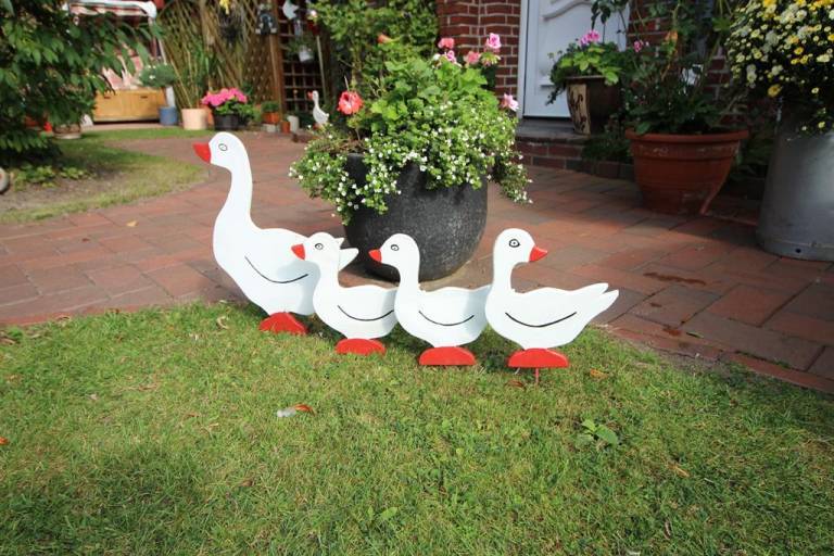 foto11