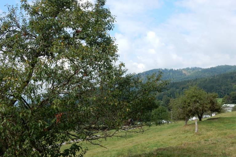 foto16