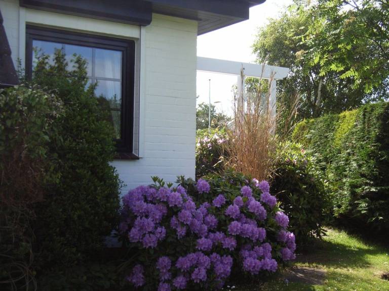 foto27