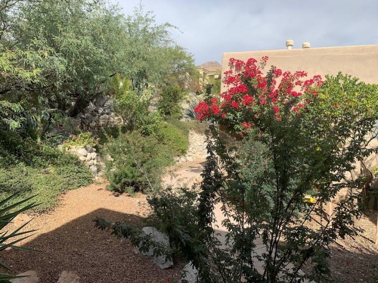 Cottage Catalina Foothills