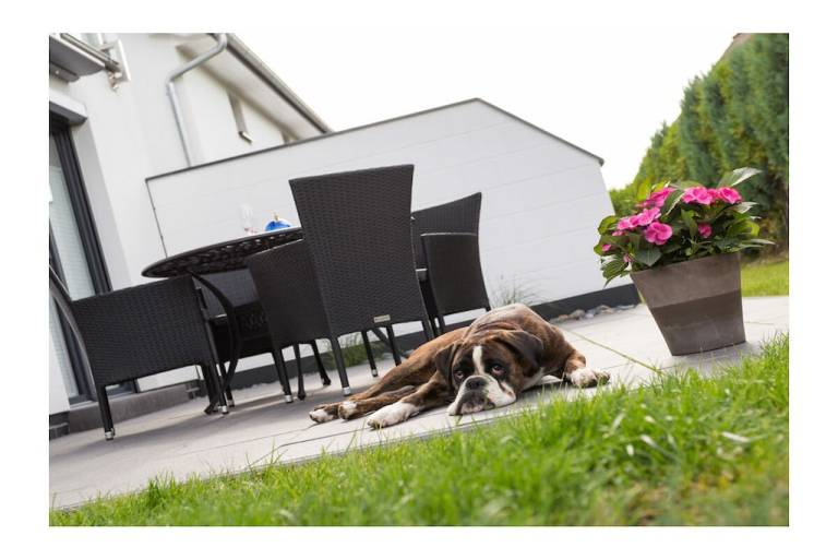 Vacation home with patio & BBQ | Pets allowed — photo 3