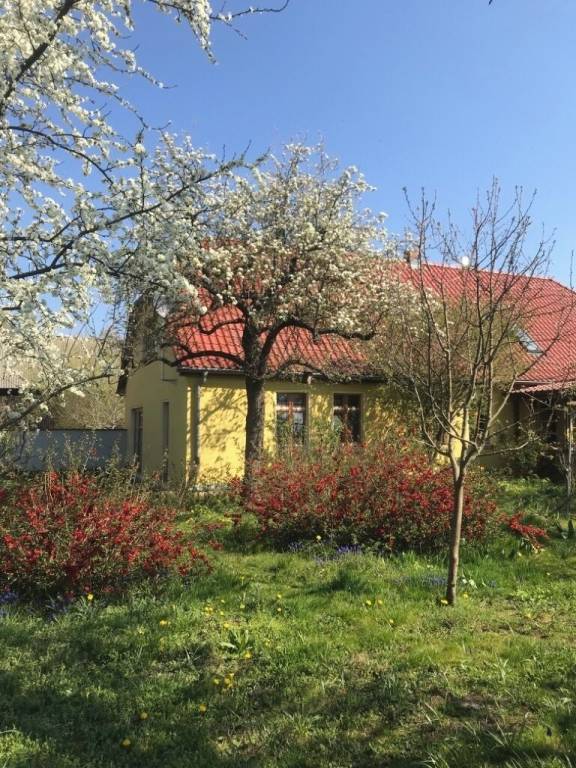 Ferienwohnung Seelow