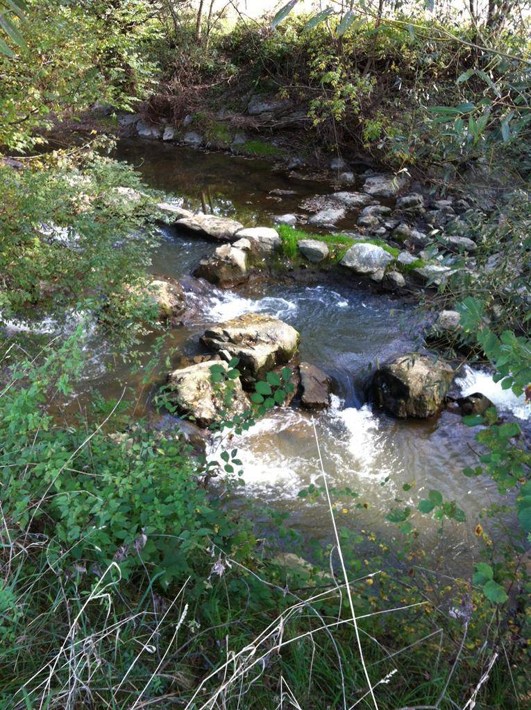 foto19