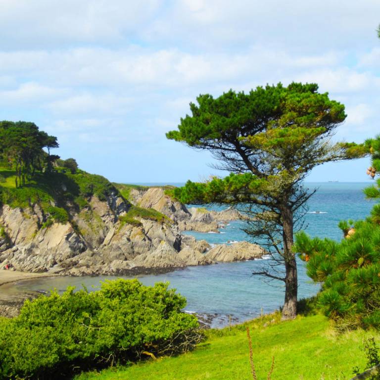 Cottage Ilfracombe
