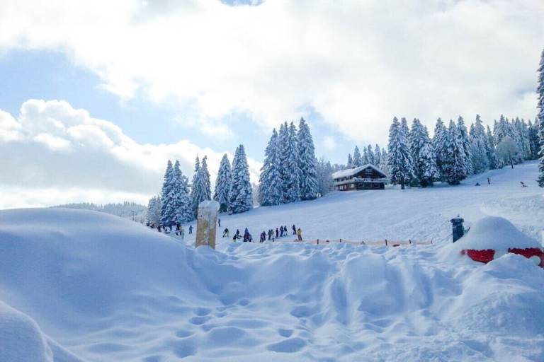 Ferienhaus in Feldberg (Schwarzwald) f&uuml;r max. 4 Personen