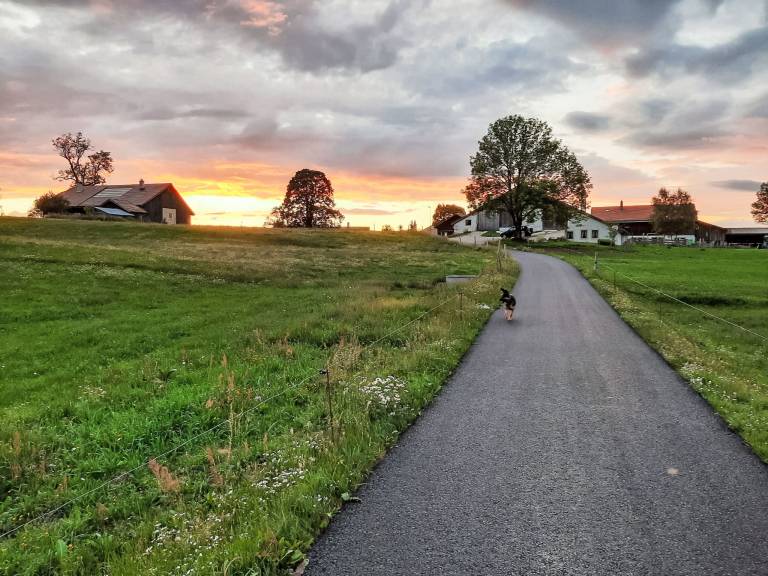 Ferienwohnung in Sainte-Croix VD, Waadt, Schweiz
