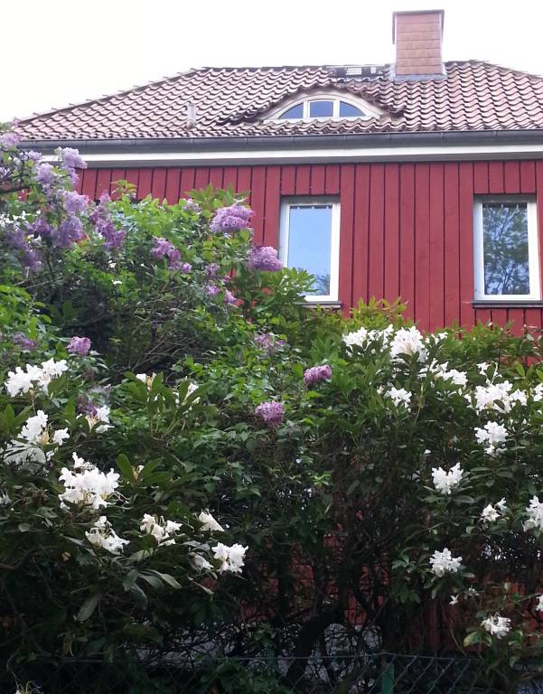 Ferienhaus  Bad Sachsa