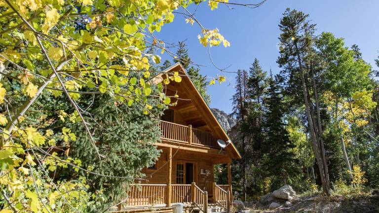 Cabin Monarch
