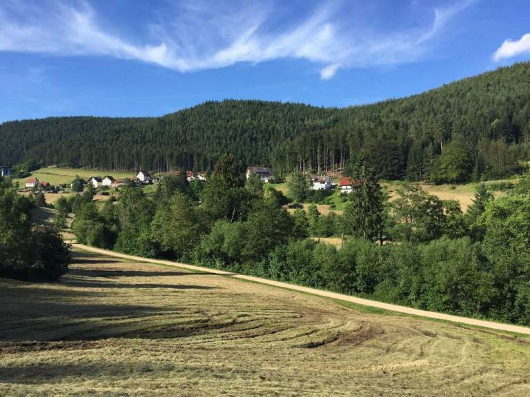 foto16
