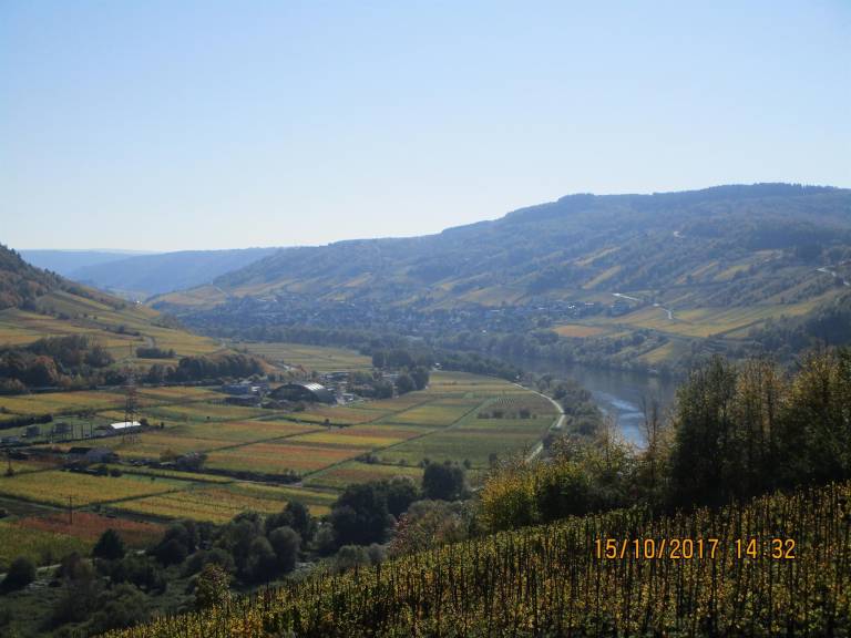 foto2