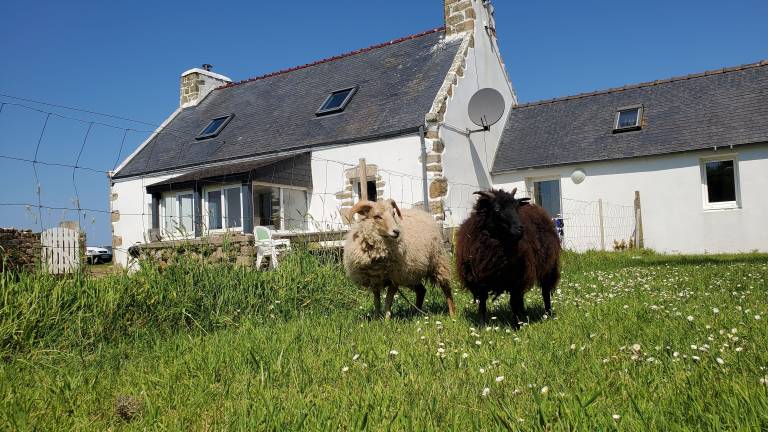 Maison de vacances Ouessant