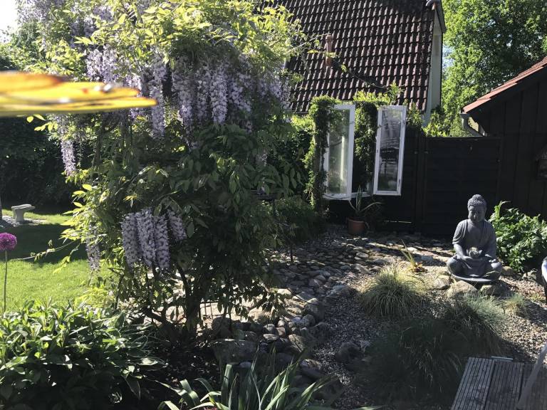foto14