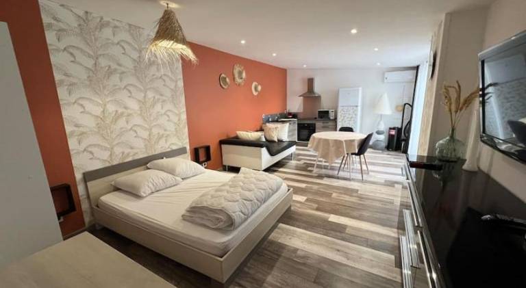 Beautiful apartment | Pets are welcome in Balaruc-les-Bains