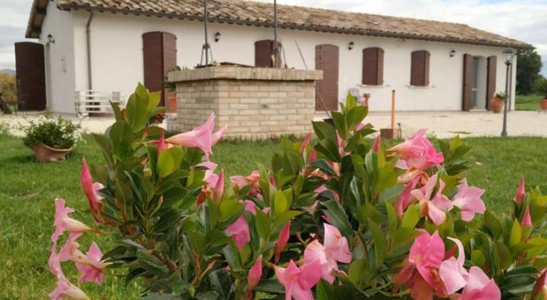 Lovely farm with BBQ & garden | Pet-friendly in Spoleto