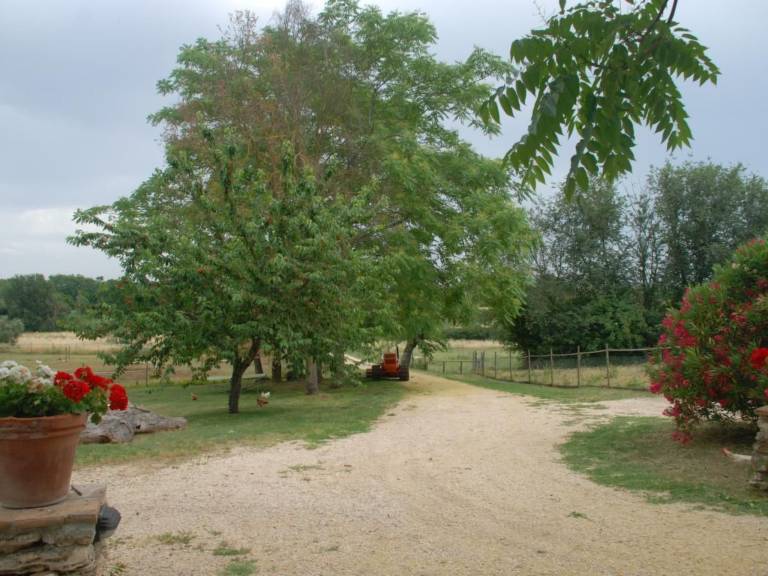 foto17
