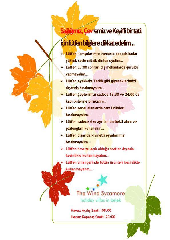 foto38