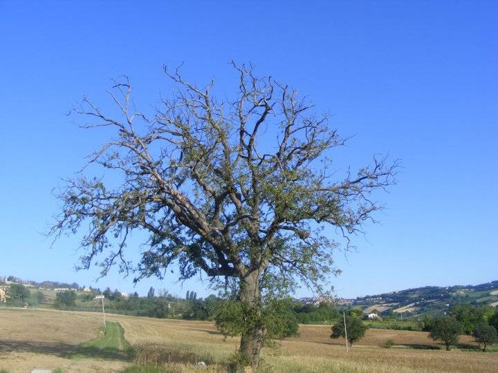 foto23