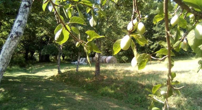 foto19