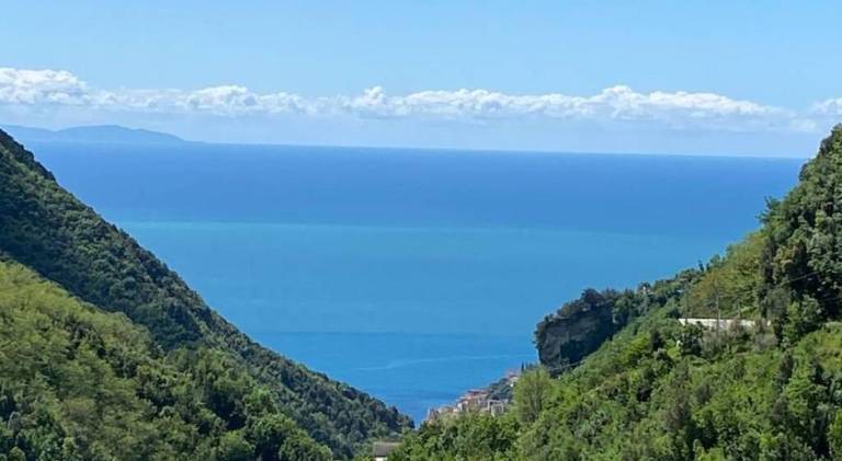 Nice holiday apartment with jacuzzi, private pool & patio | Pets are welcome in Tramonti
