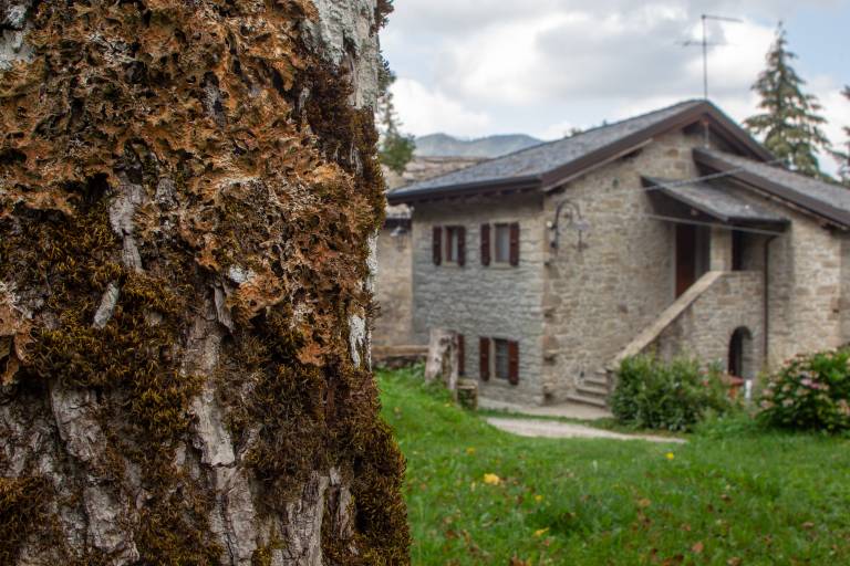 Agriturismo Cà Gabrielli: Camera "Quattro Nocciole" — photo 2