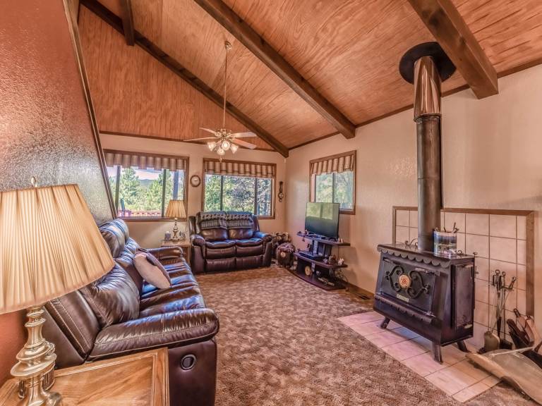413MOCKINGBIRDMTNCB - Mockingbird Cabin — photo 4