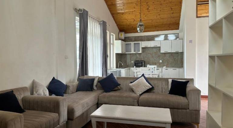 Social House — photo 2