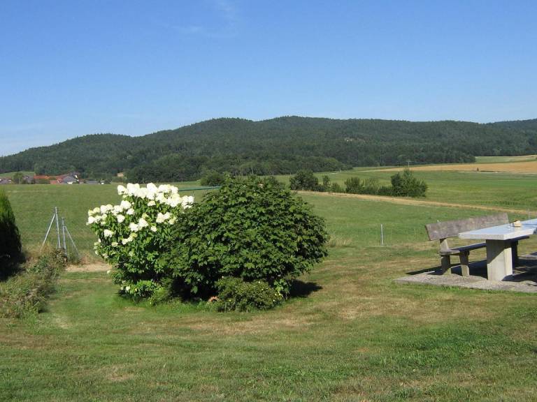 foto10