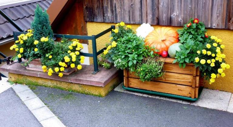foto21