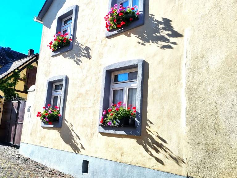 Holiday house Maifelder Uhlenhorst — photo 4