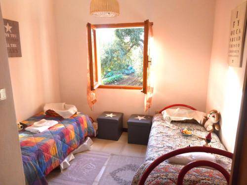 foto19