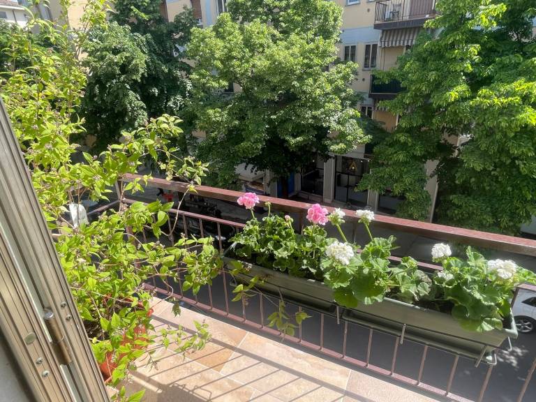 foto30
