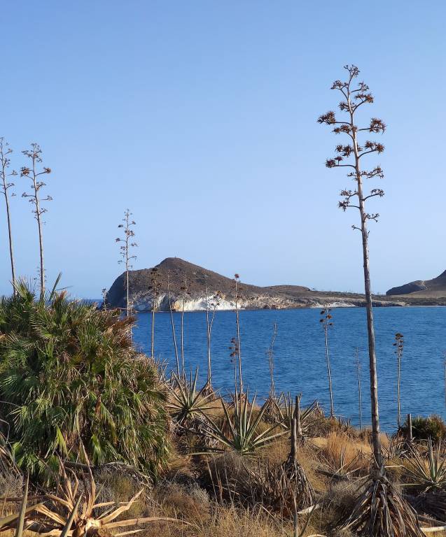 Casa Rodalquilar