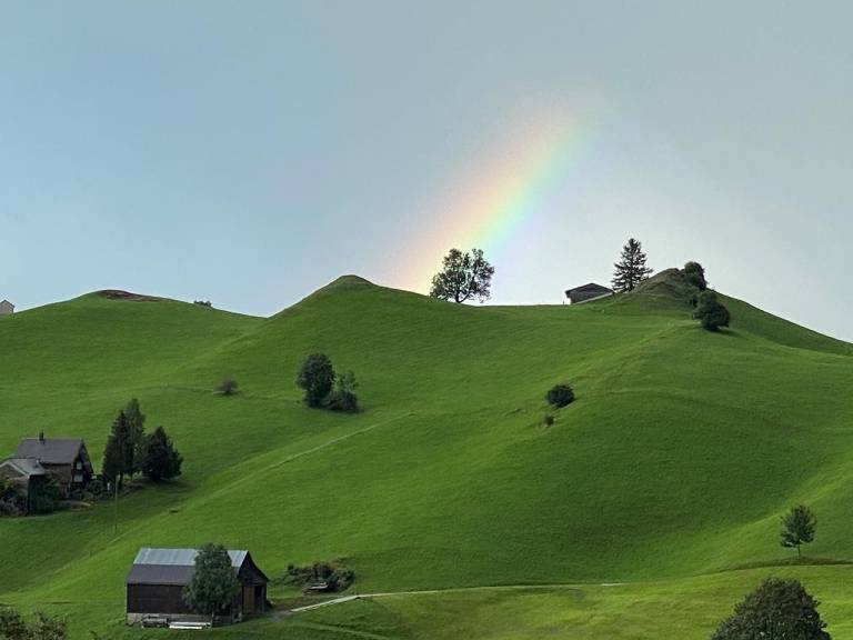 foto17