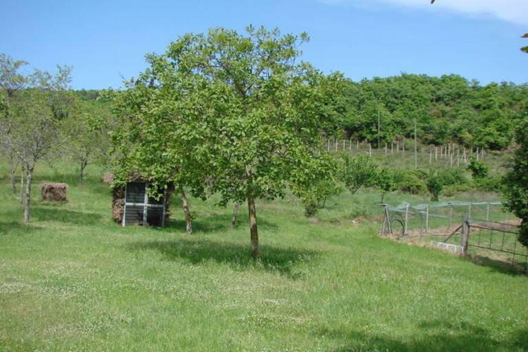 foto12